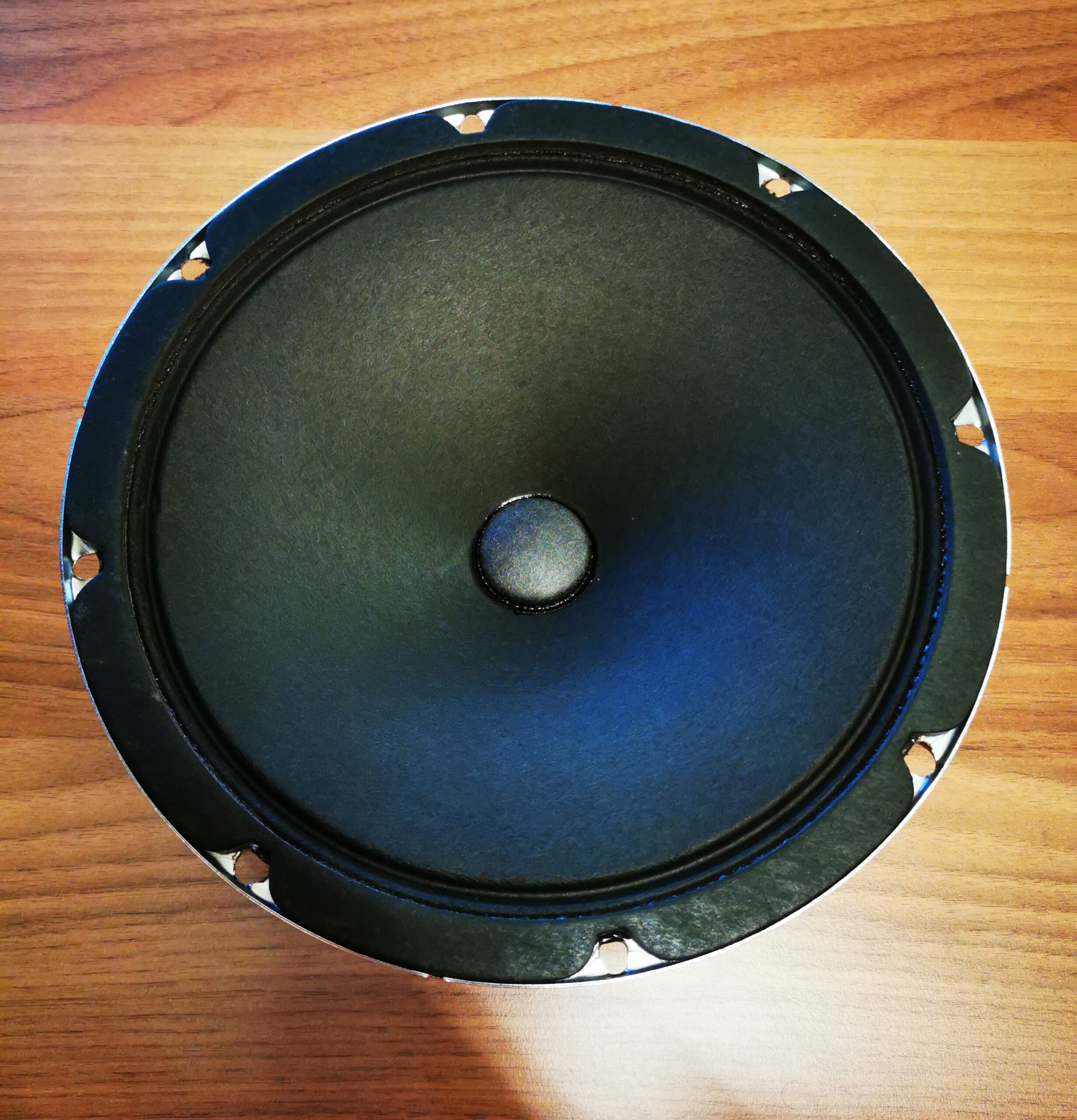 Weber 8 inch store speaker