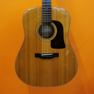 Grant W-10 Acoustic